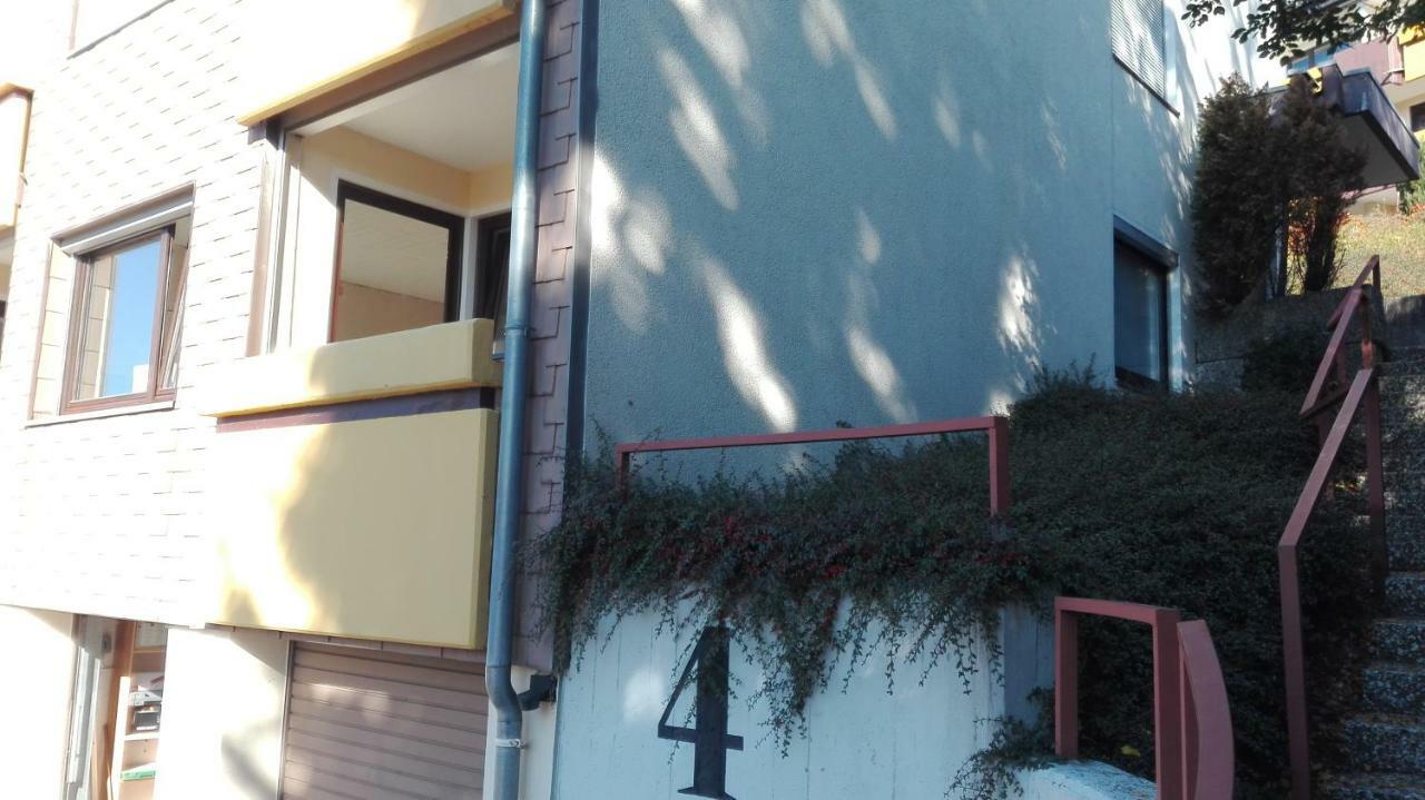 Familien Ferienwohnung Harzer Schoellchen Sankt Andreasberg Ngoại thất bức ảnh